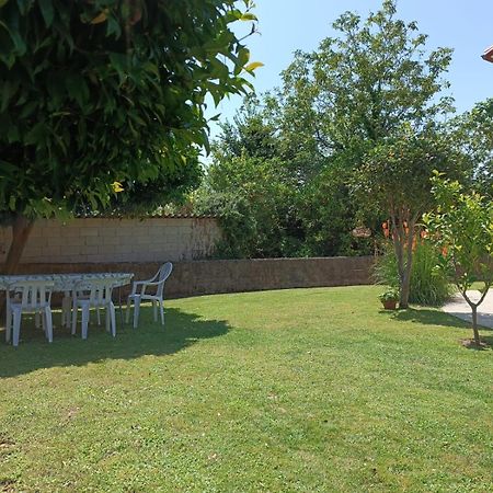 Casa En San Pantaleon Apartment Paderne Екстериор снимка